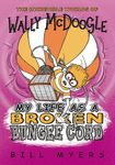 My Life as a Broken Bungee Cord - 圖片 1