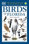 Birds of Florida: The Clearest Recognition Guide Available - 圖片 1