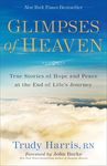 Glimpses of Heaven: True Stories of Hope and Peace at the End of Life's Journey - 圖片 1