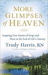 More Glimpses of Heaven: Inspiring True Stories of Hope and Peace at the End of Life's Journey - 圖片 1