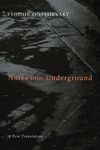 Notes from Underground - 圖片 1