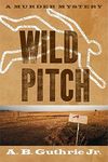 Wild Pitch - 圖片 1
