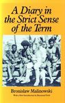 A Diary in the Strict Sense of the Term - 圖片 1