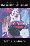 The Black Cauldron - 圖片 1