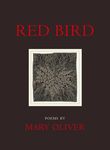 Red Bird - 圖片 1
