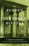 The Burden of Southern History - 圖片 1