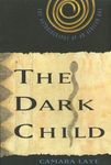 The Dark Child: The Autobiography of an African Boy - 圖片 1