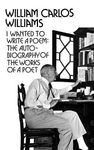 I Wanted to Write a Poem: The Autobiography of the Works of a Poet - 圖片 1