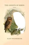 The Ghosts of Birds - 圖片 1