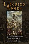 Laboring Women: Reproduction and Gender in New World Slavery - 圖片 1