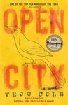 Open City - 圖片 1
