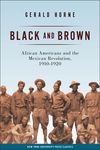 Black and Brown: African Americans and the Mexican Revolution, 1910-1920 - 圖片 1