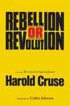 Rebellion or Revolution? - 圖片 1