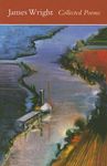 Collected Poems - 圖片 1