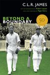 Beyond a Boundary - 圖片 1