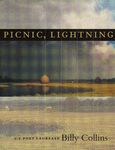 Picnic, Lightning - 圖片 1