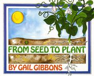From Seed to Plant - 圖片 1