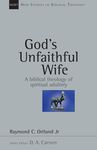 God's Unfaithful Wife: A Biblical Theology of Spiritual Adultery - 圖片 1