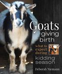 Goats Giving Birth: What to Expect During Kidding Season - 圖片 1