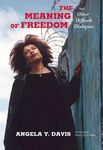 The Meaning of Freedom - 圖片 1
