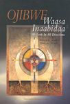 Ojibwe Waasa Inaabidaa: We Look in All Directions - 圖片 1