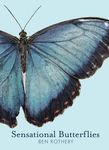 Sensational Butterflies - 圖片 1
