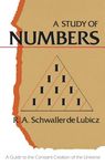 A Study of Numbers: A Guide to the Constant Creation of the Universe - 圖片 1