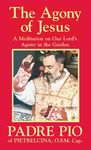 The Agony of Jesus - 圖片 1