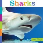 Sharks - 圖片 1