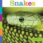 Snakes - 圖片 1