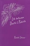 Life Between Death and Rebirth: The Active Connection Between the Living and the Dead (Cw 140) - 圖片 1