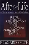 After Life: A Glimpse of Eternity Beyond Death's Door - 圖片 1