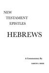Hebrews: A Critical & Exegetical Commentary - 圖片 1