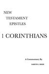 1 Corinthians: A Critical & Exegetical Commentary - 圖片 1