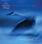On Ancient Wings: The Sandhill Cranes of North America - 圖片 1
