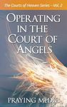 Operating in the Court of Angels - 圖片 1