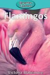 Flamingos - 圖片 1