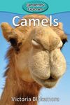 Camels - 圖片 1