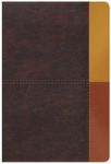 Rvr 1960 Biblia de Estudio Arcoiris, Cocoa/ Terracota Símil Piel Con Índice - 圖片 1