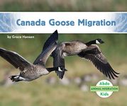 Canada Goose Migration - 圖片 1