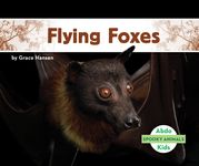 Flying Foxes - 圖片 1
