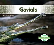 Gavials - 圖片 1