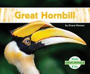 Great Hornbill - 圖片 1