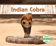 Indian Cobra - 圖片 1
