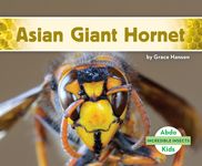 Asian Giant Hornet - 圖片 1