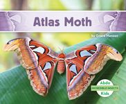 Atlas Moth - 圖片 1