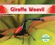 Giraffe Weevil - 圖片 1