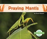 Praying Mantis - 圖片 1