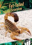 Fat-Tailed Scorpion - 圖片 1