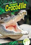 Saltwater Crocodile - 圖片 1
